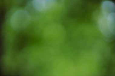 Bokeh efektli bulanık yeşil arkaplan 