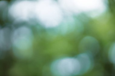 Bokeh efektli bulanık arkaplan 