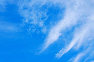 daylight blue sky with white fluffy clouds
