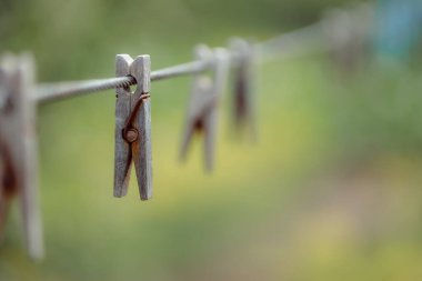 wooden clothespins on rope outdoors, blurred background 