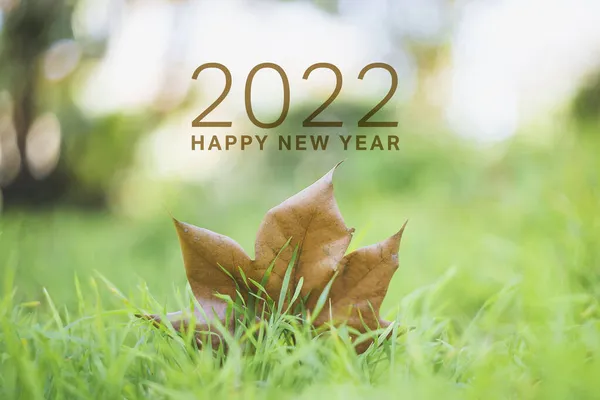 Verde Feliz Año Nuevo 2022 Deseos Tarjeta Navidad Con Hoja —  Fotos de Stock