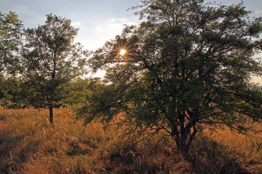 Kırsalda gün batımı