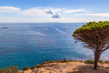 İtalya 'nın Elba Adası' nın batı kıyısından düz Pianosa Adası 'na bakın.
