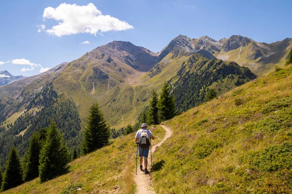 Furkelhtte, Trafoi, İtalya yakınlarındaki bir patikada panoramik bir manzara oluşturan trekking poles sahibi bir adam; alp sağlıklı yaşam tarzı konsepti