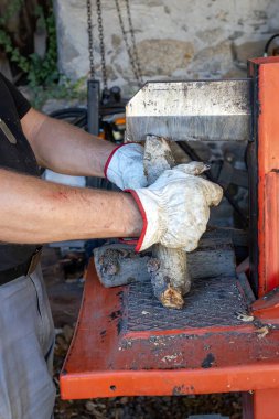 Hidrolik kütük ayrıştırıcı makinesiyle ahşabı parçalayan adam