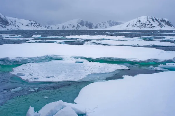 流氷と雪に覆われた山々 アルバート1世ランド スピッツベルゲン スヴァールバル ノルウェー ヨーロッパ — ストック写真