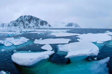 Drift floating Ice, Albert I Land, Arctic, Spitsbergen, Svalbard, Norway, Europe clipart