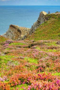 Cabo de Penas 'ın Korunan Bölgesi, Asturias Prensliği, Asturias, İspanya, Avrupa