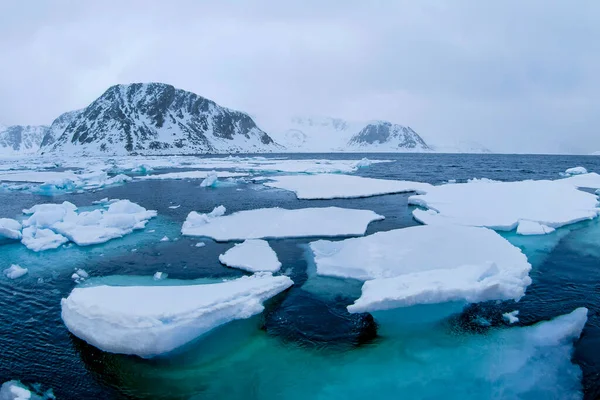 Drift Flytande Albert Land Arktis Spetsbergen Svalbard Norge Europa — Stockfoto