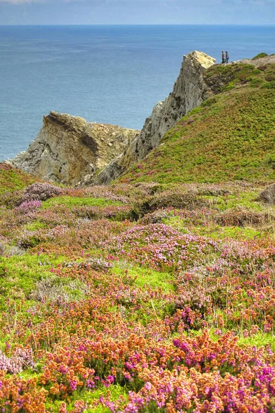 Cabo de Penas 'ın Korunan Bölgesi, Asturias Prensliği, Asturias, İspanya, Avrupa