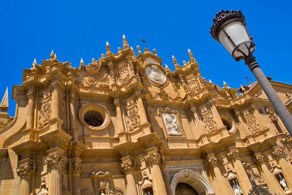 Kathedraal Van Menswording Kathedraal Van Guadix Catedral Encarnacion Guadix Granada — Stockfoto
