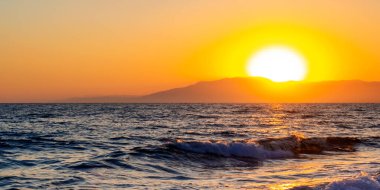 Muhteşem Frigatebird, Fregata, Galapagos Ulusal Parkı, Galapagos Adaları, UNESCO Dünya Mirası Alanı, Ekvador, Amerika