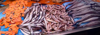 Central Food Market 'te Taze Balık, Chiclana de la Frontera, Cadiz, Endülüs, İspanya, Avrupa
