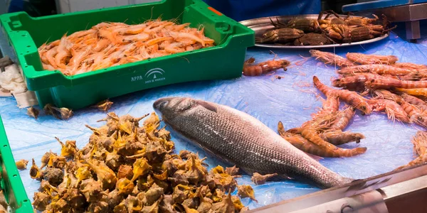 Verse Zeevruchten Central Food Market Chiclana Frontera Cadiz Andalusië Spanje — Stockfoto