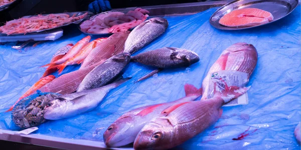 Verse Vis Central Food Market Chiclana Frontera Cadiz Andalusië Spanje — Stockfoto