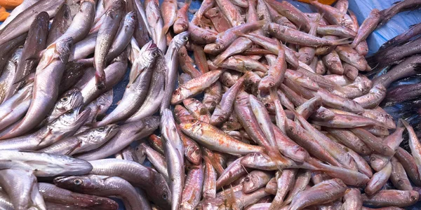 Pesce Fresco Mercato Alimentare Centrale Chiclana Frontera Cadice Andalusia Spagna — Foto Stock