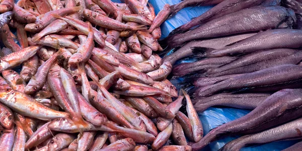 Pesce Fresco Mercato Alimentare Centrale Chiclana Frontera Cadice Andalusia Spagna — Foto Stock