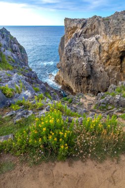 Rocky Coast, Pria Cliffs, Karst Formasyonu, Bufones de Pria, Asturias 'ın Korunan Doğu Sahili, Llanes de Pria, Asturias, İspanya, Avrupa