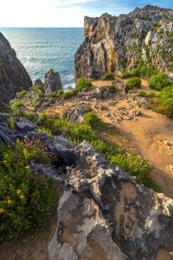 Rocky Coast, Pria Cliffs, Karst Formasyonu, Bufones de Pria, Asturias 'ın Korunan Doğu Sahili, Llanes de Pria, Asturias, İspanya, Avrupa