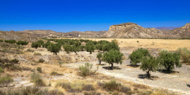 Tabernas Çölü Doğa Koruma Alanı, Sıcak Çöl İklim Bölgesi, Tabernas, Almerya, Endülüs, İspanya, Avrupa