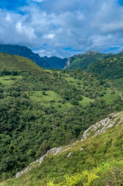 Dağ Sırası, Picos de Europa Ulusal Parkı, Asturias, İspanya, Avrupa