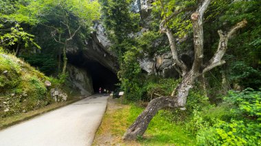 La Cuevona, Road Natural Karst Cave, National Heritage Site, Spanish Cultural Property, Cultural Interest, Cuevas del Agua, Ribadesella, Asturias, İspanya, Avrupa