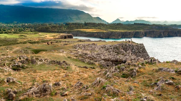 Rocky Coast Pria Cliffs Karst Formasyonu Bufones Pria Asturias Korunan — Stok fotoğraf