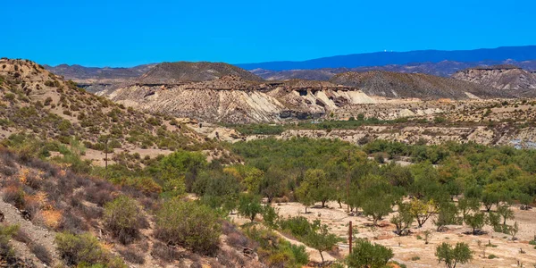 Tabernas Çölü Doğa Koruma Alanı, Sıcak Çöl İklim Bölgesi, Tabernas, Almerya, Endülüs, İspanya, Avrupa