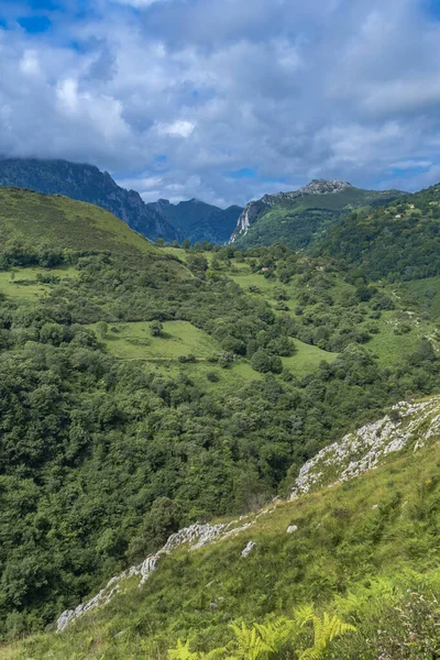 Chaîne Montagnes Parc National Des Picos Europa Asturies Espagne Europe — Photo