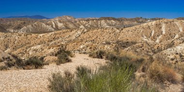 Tabernas Çölü Doğa Koruma Alanı, Sıcak Çöl İklim Bölgesi, Tabernas, Almerya, Endülüs, İspanya, Avrupa