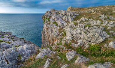 Rocky Coast, Pria Cliffs, Karst Formasyonu, Bufones de Pria, Asturias 'ın Korunan Doğu Sahili, Llanes de Pria, Asturias, İspanya, Avrupa