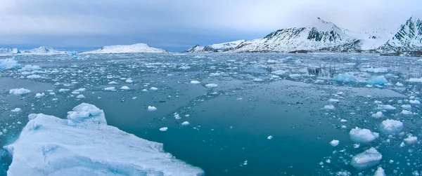 Drift Floating Ice Snowcapped Mountains Iceberg Ice Floes Albert Land — Stock Photo, Image