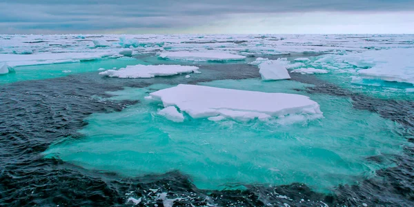 Drift Floating Ice Albert Land Arctique Spitzberg Svalbard Norvège Europe — Photo