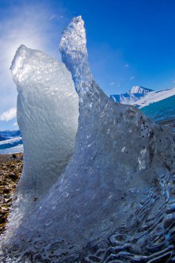Buzul, Sürüklenen Buz, 14 Temmuz Buzulu, Krossfjord, Arktik, Spitsbergen, Svalbard, Norveç, Avrupa