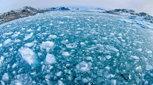 Drift Floating Ice Snowcapped Mountains Ijsberg Ice Floes Albert Land — Stockfoto