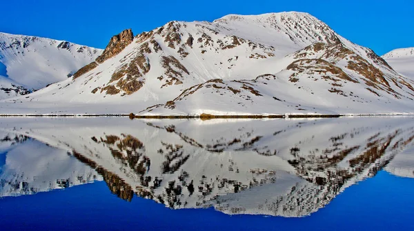 Terre Artiche Holmiabukta Bay Raudefjord Albert Land Arctic Spitsbergen Svalbard — Foto Stock