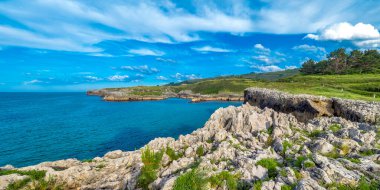 Resif Balığı, Mercan Kayalığı, Karayip Denizi, Isla de la Juventud, Küba, Amrica