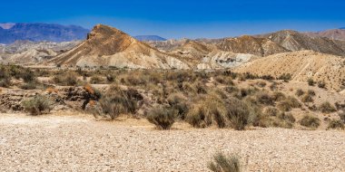 Tabernas Çölü Doğa Koruma Alanı, Sıcak Çöl İklim Bölgesi, Tabernas, Almerya, Endülüs, İspanya, Avrupa