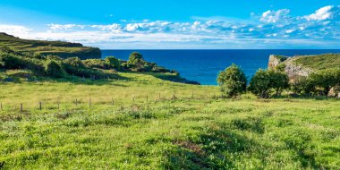 Çimenler ve Kayalıklar, Cantabrian Denizi, Buelna, Llanes, Asturias, İspanya, Avrupa