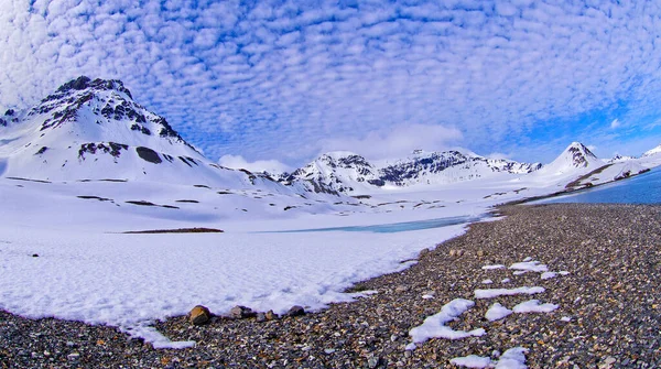 Snowcap Mountains Trigghamna Bay Oskar Land Arctic Spitbergen Svalbard ノルウェー — ストック写真