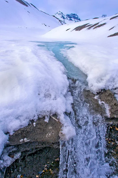 Cascata Neve Trygghamna Bay Oscar Land Artico Spitsbergen Svalbard Norvegia — Foto Stock