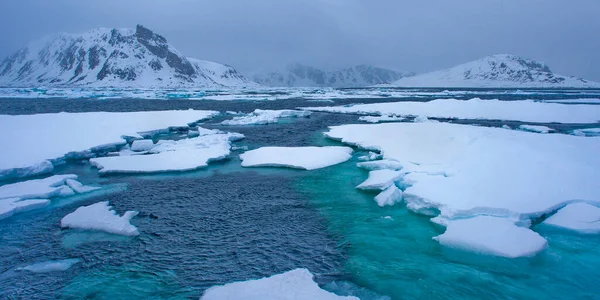 Drift floating Ice and Snowcapped Mountains, Albert I Land, Arctic, Spitsbergen, Svalbard, Norway, Europe