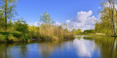 Biesbosch National Park, Noord-Brabant Province, Holland, Netherlands, Europe