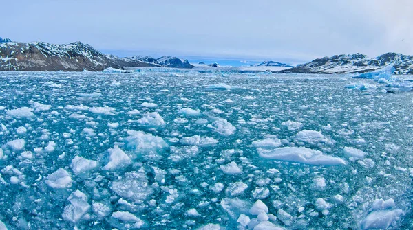 Drift floating Ice and Snowcapped Mountains, Iceberg, Ice Floes, Albert I Land, Arctic, Spitsbergen, Svalbard, Norway, Europe