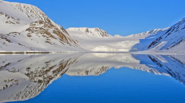 Arktik Topraklar, Holmiabukta Körfezi, Raudefjord, Albert I Land, Arktik, Spitsbergen, Svalbard, Norveç, Avrupa