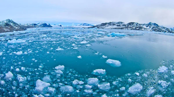 Drift Floating Ice Snowcapped Mountains Iceberg Ice Floes Albert Land — Foto Stock