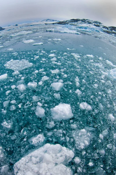 Drift Floating Ice Snowcapped Mountains Iceberg Ice Floes Albert Land Stock Image