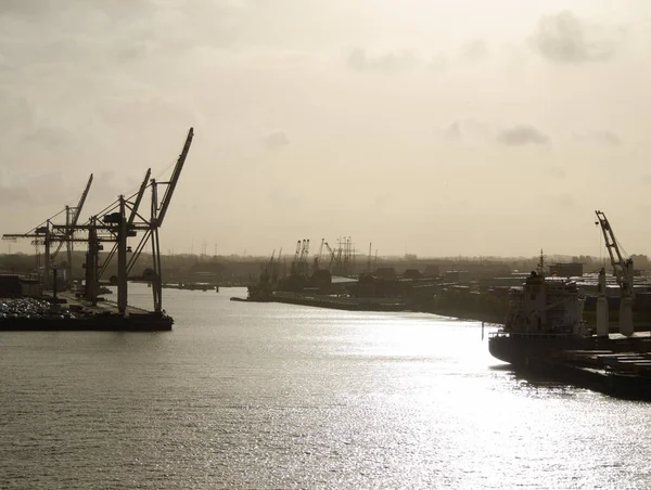 Hamburg Limanı Gün batımında Almanya