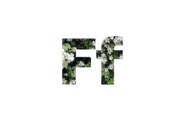 Yeşil yapraklı beyaz çiçeklerin arka planı. F harfinin kesik siluetini delip geçmiş.