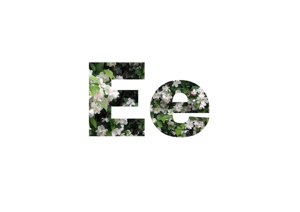 緑の葉を持つ白い花の背景 文字Eのカットアウトシルエットを通して撮影 — ストック写真